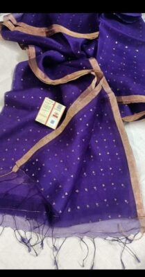 Exclusive Pure Muslin Sequence Hand Weaving Sarees (18)