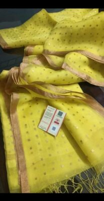 Exclusive Pure Muslin Sequence Hand Weaving Sarees (24)