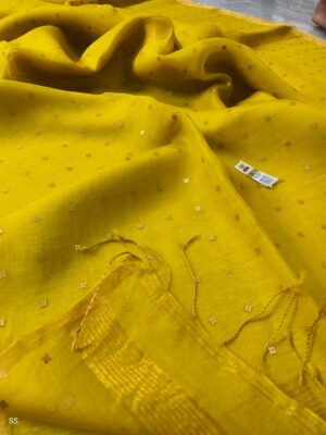 Exclusive Pure Muslin Sequence Hand Weaving Sarees (5)