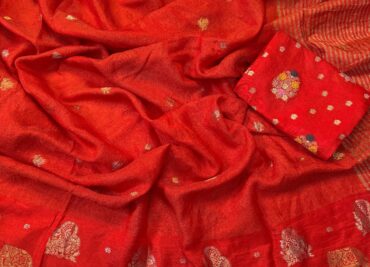 Pure Soft Viscose Dola Silk Sarees (4)