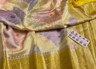 Pure Handloom Rawmango Pattu Sarees (8)