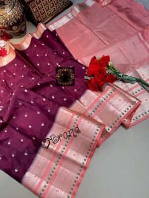 Banaarsi Dupion Soft Silk Sarees (3)