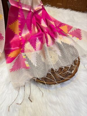 Banarasi Kota Cotton Checks Sarees (9)