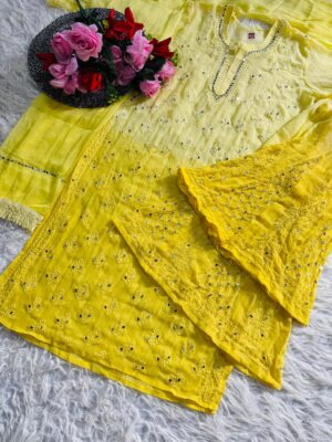 Beautiful Georgette Chikankari Handwork Sets (7)