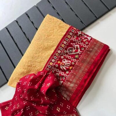 Georgette Chikankari Embroidary Sarees (11)