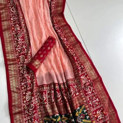 Georgette Chikankari Embroidary Sarees (14)