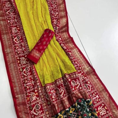 Georgette Chikankari Embroidary Sarees (19)