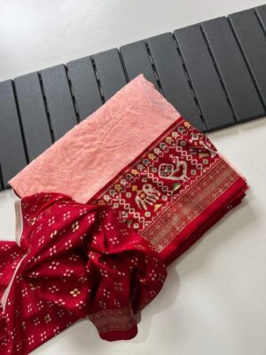 Georgette Chikankari Embroidary Sarees (21)