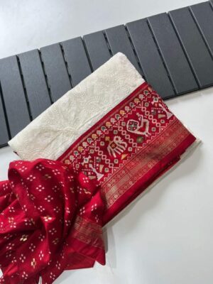 Georgette Chikankari Embroidary Sarees (7)