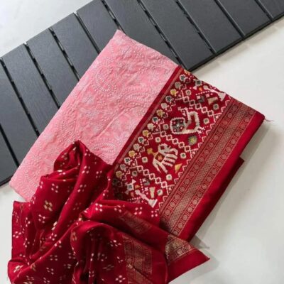 Georgette Chikankari Embroidary Sarees (9)