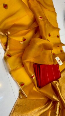 Handloom Banarasi Pure Organza Kora Silk Sarees (13)