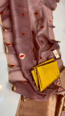 Handloom Banarasi Pure Organza Kora Silk Sarees (23)