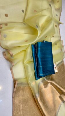 Handloom Banarasi Pure Organza Kora Silk Sarees (29)