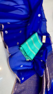 Handloom Banarasi Pure Organza Kora Silk Sarees 33 (10)