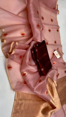 Handloom Banarasi Pure Organza Kora Silk Sarees 33 (11)