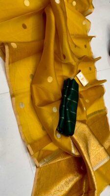 Handloom Banarasi Pure Organza Kora Silk Sarees 33 (4)