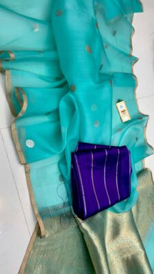 Handloom Banarasi Pure Organza Kora Silk Sarees 33 (8)