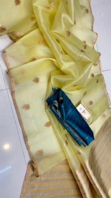 Handloom Banarasi Pure Organza Kora Silk Sarees (4)