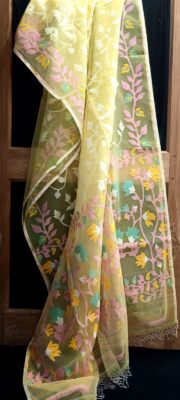 Premium Resham Silk Muslin Jamdhani Sarees (11)