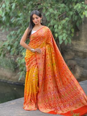 Pure Banarasi Georgette Meenakari Sarees (1)