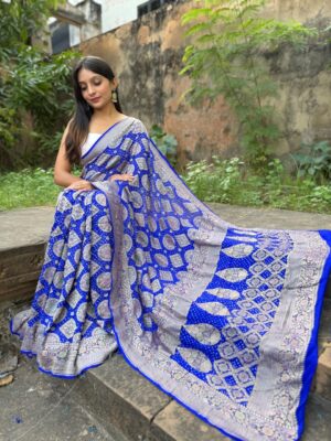 Pure Banarasi Georgette Meenakari Sarees (23)