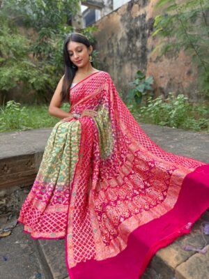 Pure Banarasi Georgette Meenakari Sarees (28)