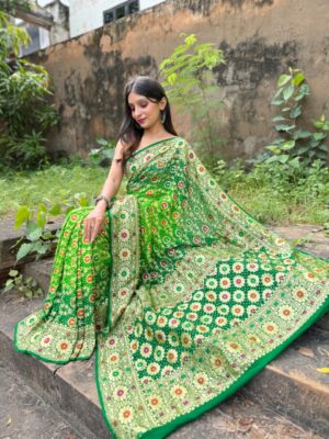 Pure Banarasi Georgette Meenakari Sarees (30)