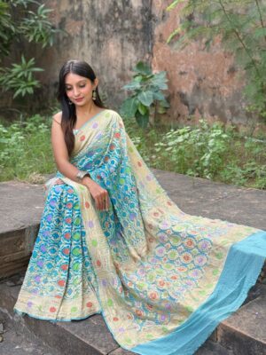 Pure Banarasi Georgette Meenakari Sarees (4)
