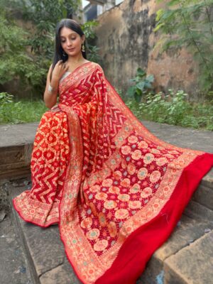 Pure Banarasi Georgette Meenakari Sarees (5)