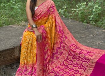 Pure Banarasi Georgette Meenakari Sarees (8)