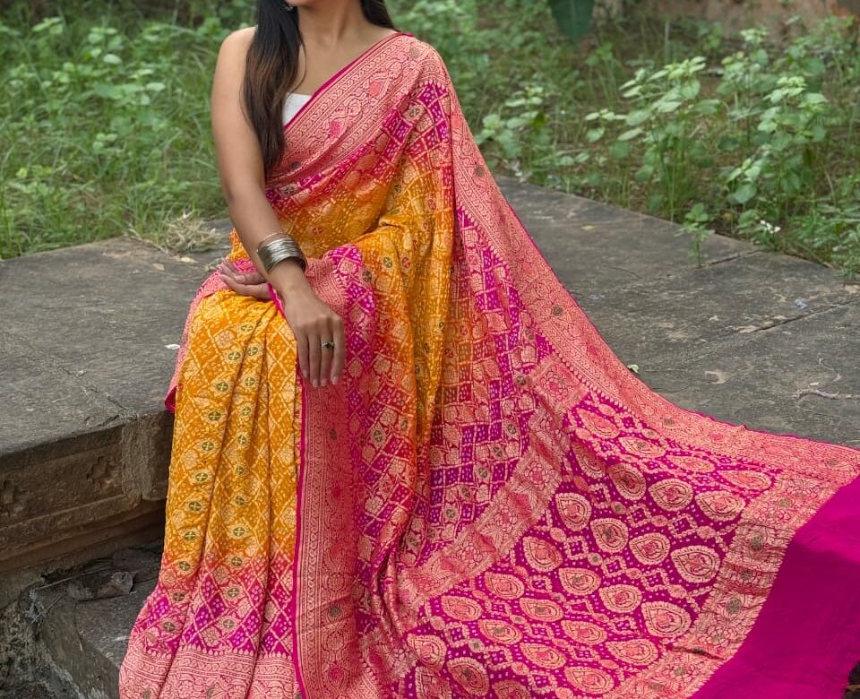 Pure Banarasi Georgette Meenakari Sarees (8)
