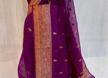 Pure Handloom Banaras Weaving Organza Sarees (1)