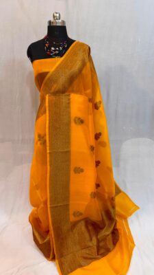 Pure Handloom Banaras Weaving Organza Sarees (3)