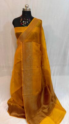 Pure Handloom Banaras Weaving Organza Sarees (4)