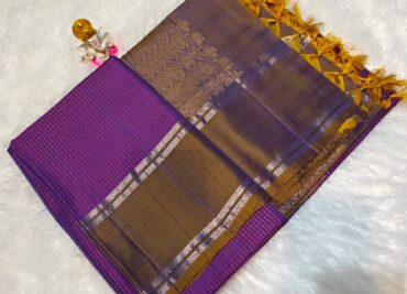 Pure Handloom Kanchipuram Sarees (9)