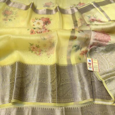 Pure Kora Silk Digital Printed Sarees (1)