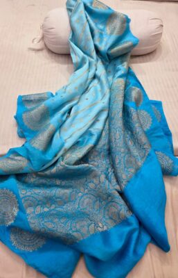 Banarasi Handloom Pure Banana Silk Sarees (3)
