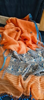 Exclusive Tissue Sarees With Jamdhani Weaving (5)