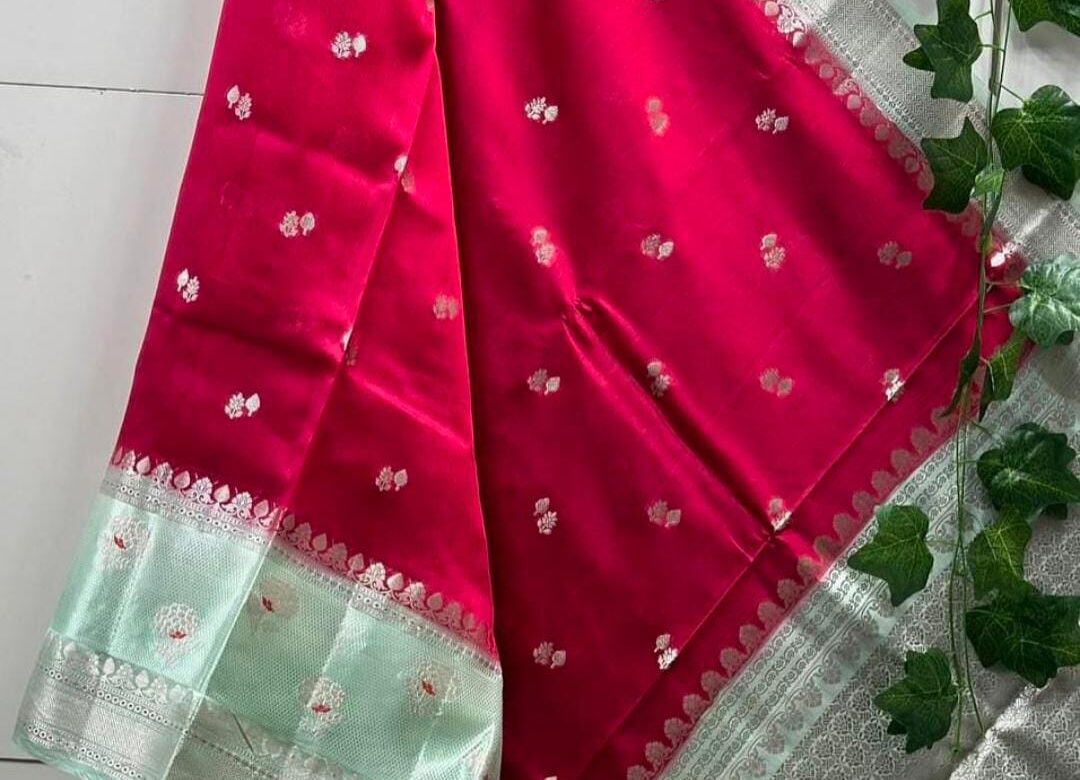 Handloom Banarasi Meenakari Sarees (12)