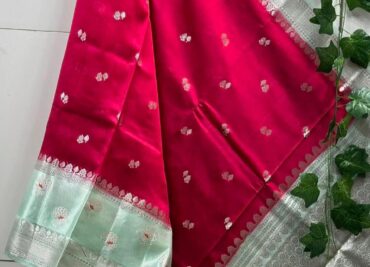 Handloom Banarasi Meenakari Sarees (12)