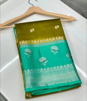 Handloom Banarasi Meenakari Sarees (17)