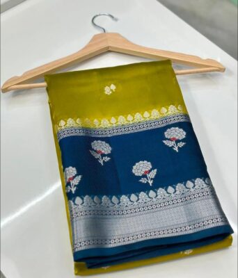 Handloom Banarasi Meenakari Sarees (18)