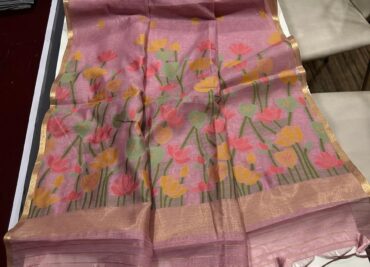 Latest Cotton Silk Jamdhani Sarees (13)