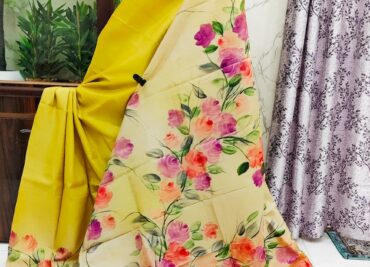 Pure Bishnuri Silk Sarees Without Border (1)