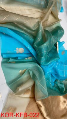 Pure Handloom Banaras Ombre Dye Kadhwa Sarees (10)