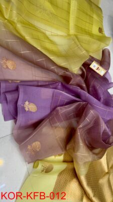 Pure Handloom Banaras Ombre Dye Kadhwa Sarees (16)