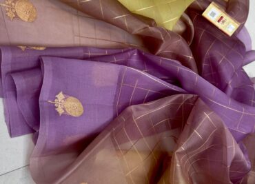 Pure Handloom Banaras Ombre Dye Kadhwa Sarees (16)