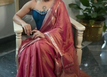 Latest Tissue Temple Border Sarees (1)