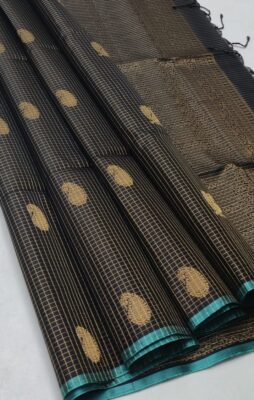 Pure Handloom Double Warp Silk Sarees (5)