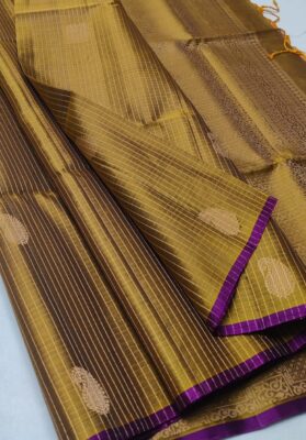 Pure Handloom Double Warp Silk Sarees (7)